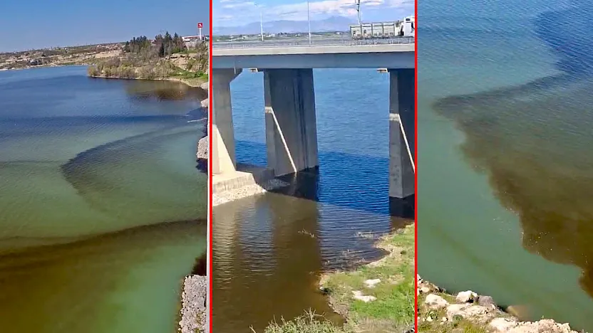 Malatya'da Tohma Çayı Kapkara Akıyor! Balıklar Ölüyor