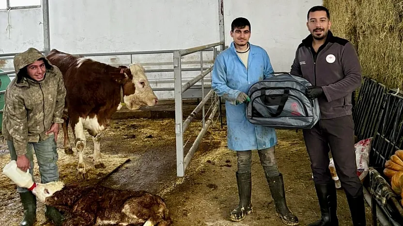 Malatya'da 'Yaşasın Buzağılar' Projesi Hayata Geçirildi!