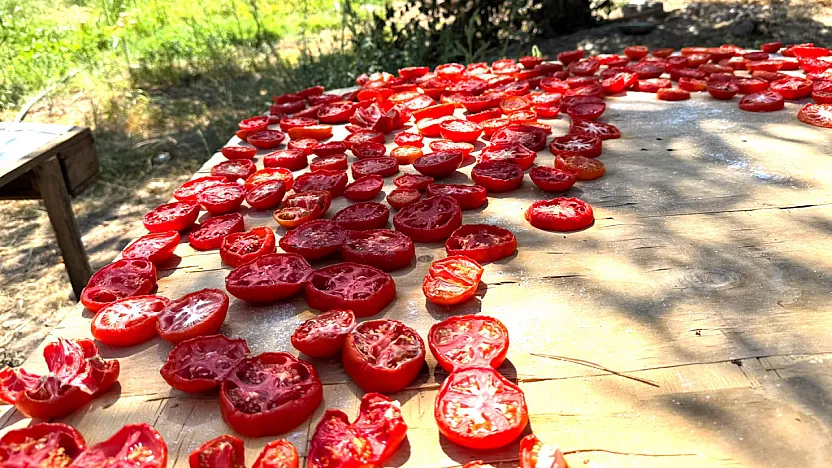 Malatya'da Yazın Bereketi Kışa Hazırlanıyor!
