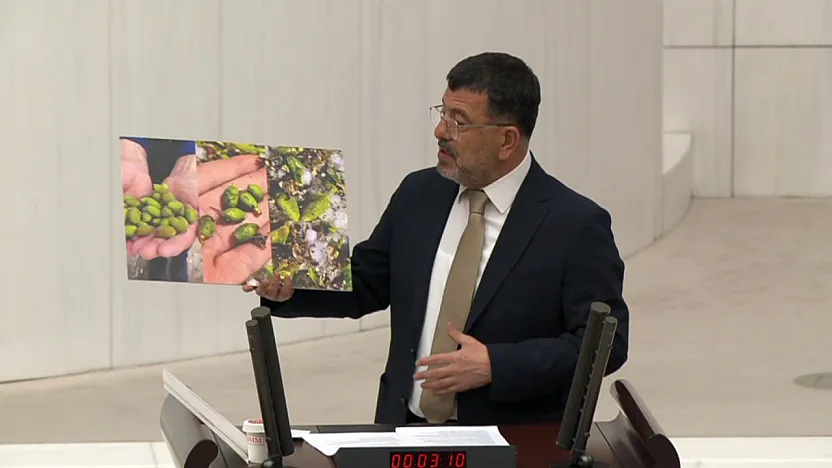 Malatya Kayısısında Dolu Felaketi! Veli Ağbaba Meclis'te Fotoğraflarla İsyan Etti