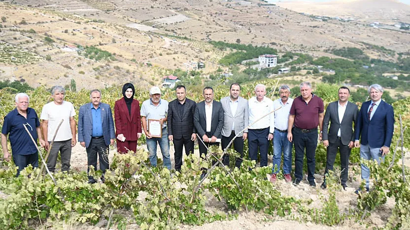 Malatya'nın Tescilli Üzümü İçin Yeni Çalışma Başladı!