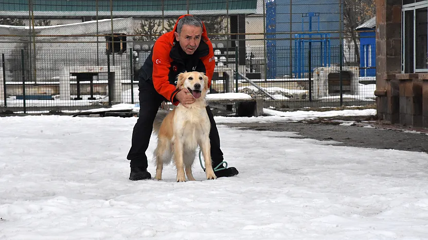 Malatya Unutmadı! Sessiz Kahraman Köpük Göreve Hazır!