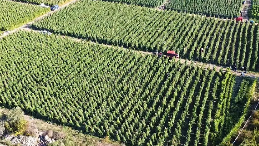 Malatyalılar Dikkat! 12,8 Milyar TL'lik Destek Ödemesi Başladı