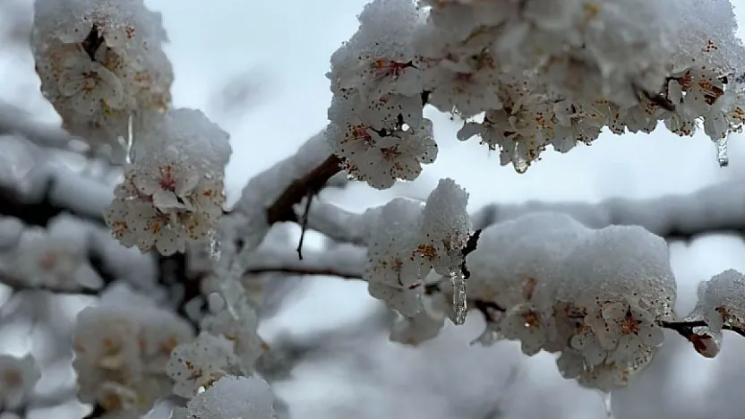 Meteoroloji'den Malatya İçin Uyarı! Cumartesi Gecesi Sıcaklıklar Eksinin Altına Düşecek