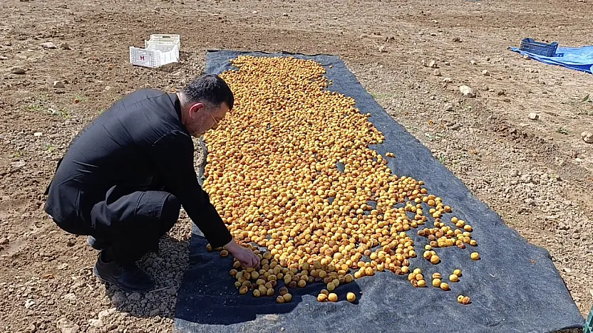 Milletvekili Ağbaba Sel Bölgesinde İncelemelerde Bulundu!
