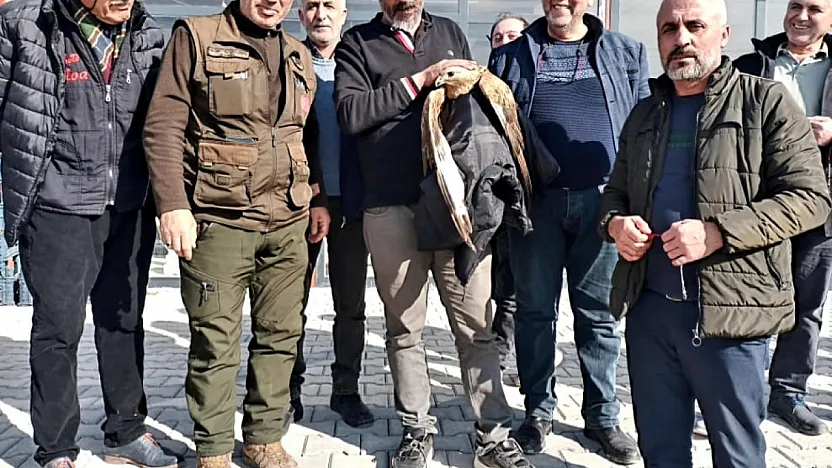 Yeşilyurt'ta Kanadı Kırık Kızıl Şahin Vatandaşların Duyarlılığıyla Hayata Tutundu