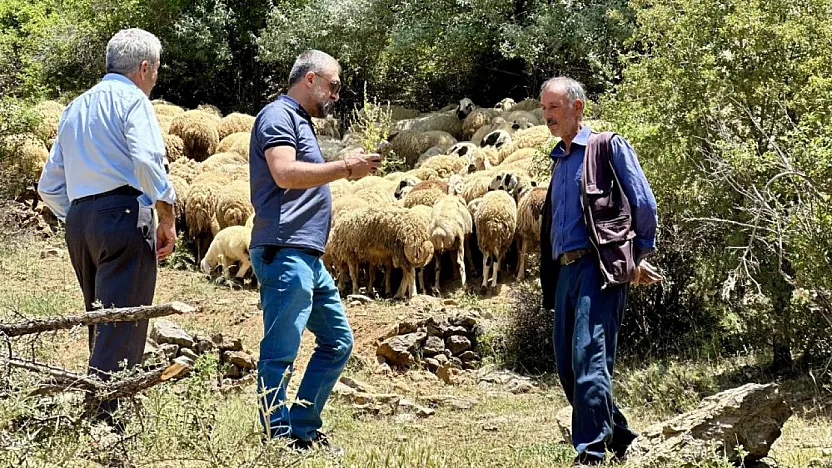 Zorlu şartlara rağmen yaylada üretmeye devam ediyorlar