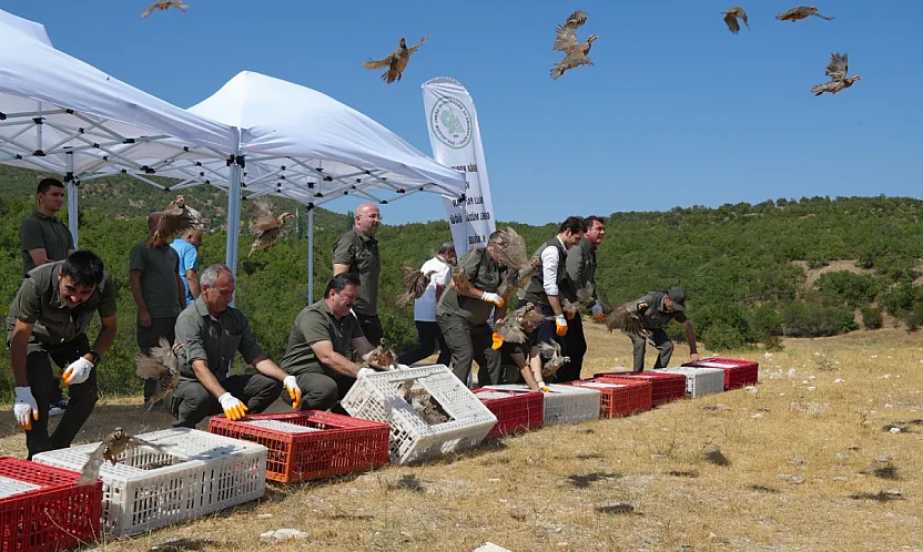 1 milyona yakın keklik doğayla buluştu