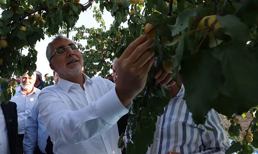 Bakan Işıkhan Malatya'da Kayısı Hasadında Tarım İşçileri ile Buluştu