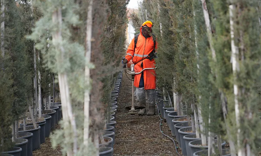 Battalgazi'de Çarşıbaşı Rekreasyon Alanı Hızla Yükseliyor