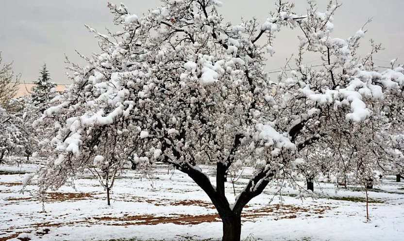 Çiftçilerin Dikkatine! Son Gün 31 Aralık