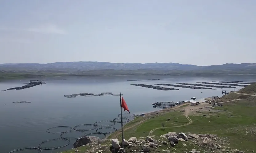 Hangi Sektör Malatya'yı Şahlandırıyor? İşte 7 Bin 500 Tonluk O Başarı Hikayesi