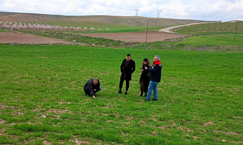 Hasatta Verim Kaybına Geçit Yok: Teknik Ekipler Boyaca'da Çiftçilerle Buluştu!