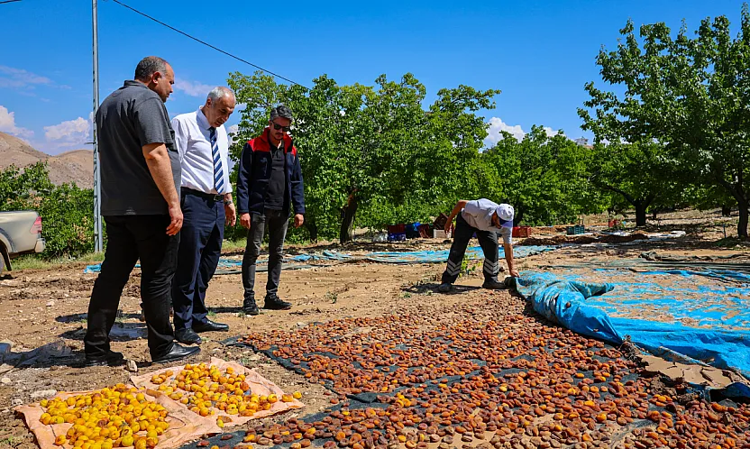 Hekimhan'da Ekipler Tarlalarda Hasar Tespitine Başladı!
