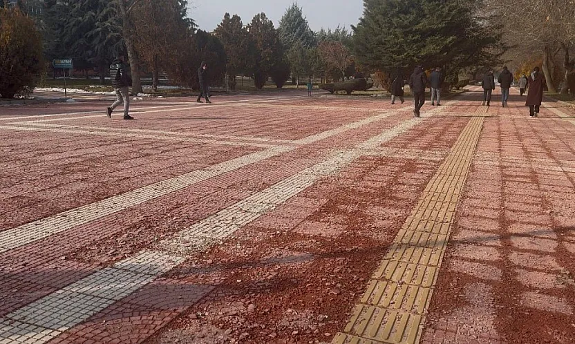 İnönü Üniversitesi'nde Arazi Yolu Manzarası!