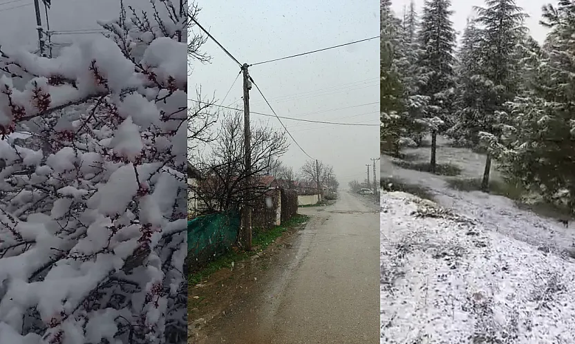 Kayısı Bahçelerinde Don Alarmı! Doğanşehir Beyaza Büründü
