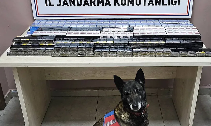 Malatya Yolu Üzerinde Jandarmadan Tır Operasyonu:Kaçak Sevkiyat Durduruldu