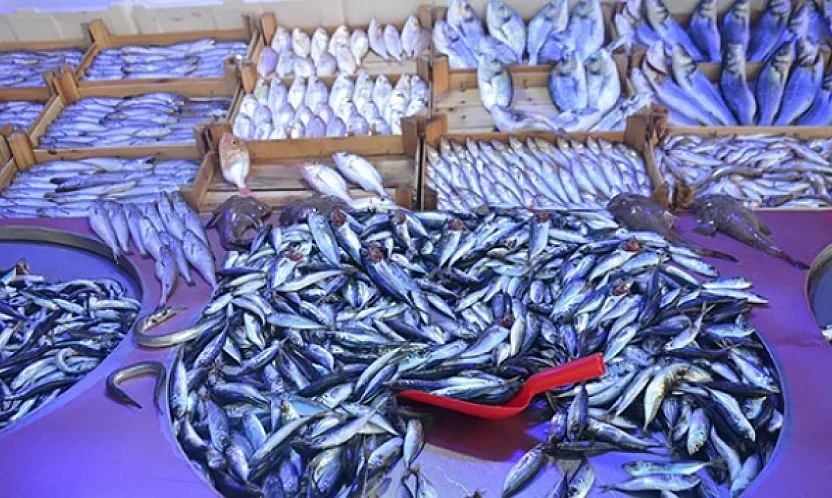 lık Pazarı'nda Sürpriz Tercih: Favori Belli Oldu