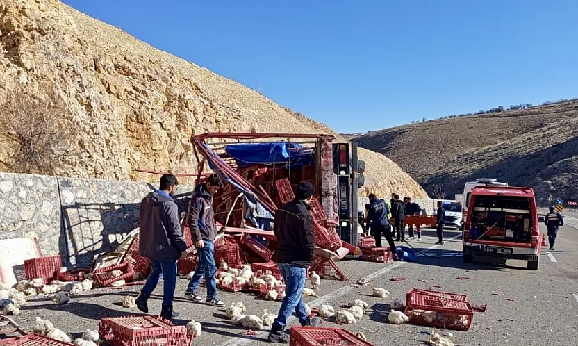 Malatya Akçadağ'da Kamyon Devrildi Yüzlerce Tavuk Telef Oldu