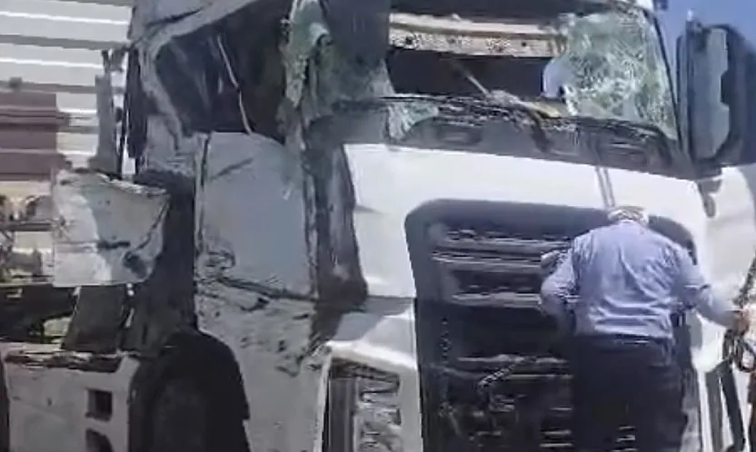 Malatya Arapgir'de Feci Kaza! Hayvan Yüklü Tır Devrildi, Yol Savaş Alanına Döndü