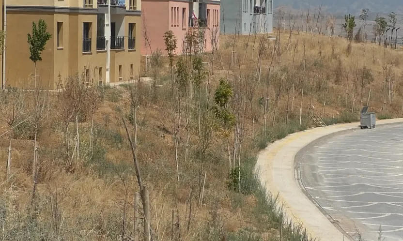 Malatya Bahçebaşı Toki  Konutlarında Yaşamı Zorlaştıran Sorunlar Bitmiyor