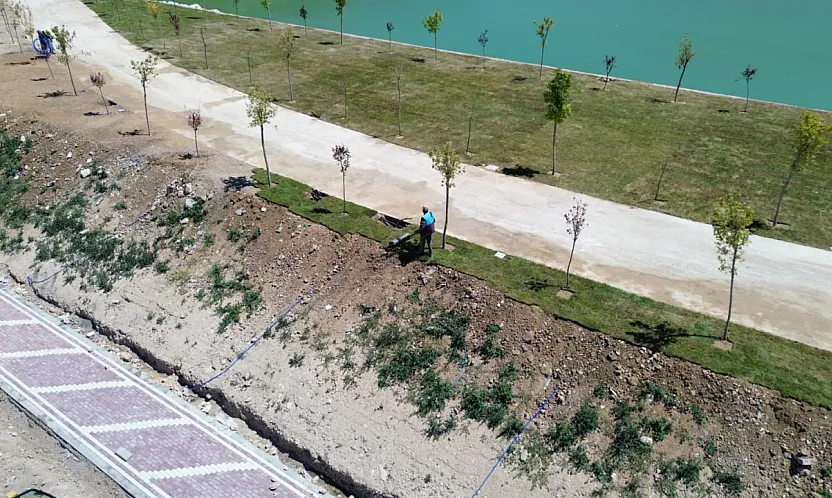 Malatya Battalgazi'de Binlerce Bitki Toprakla Buluşuyor!