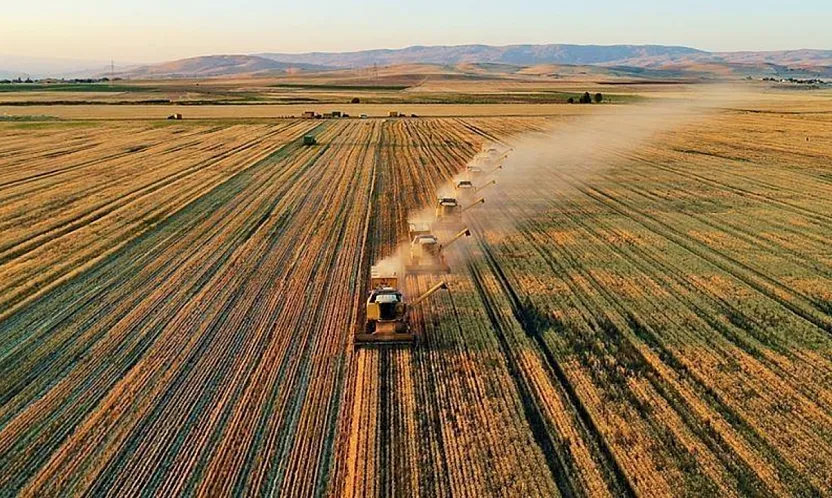 Malatya Çiftçisi Alarm Veriyor! Meyve ve Sebzede Büyük Kayıp!