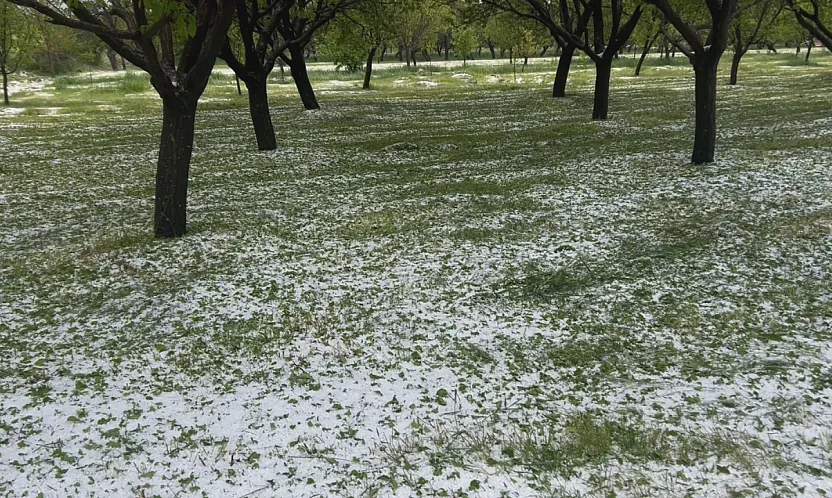 Malatya'da 10 Dakikalık Dolu Kabusu! Yollar Beyaza Büründü, Tarım Arazileri Zarar Gördü