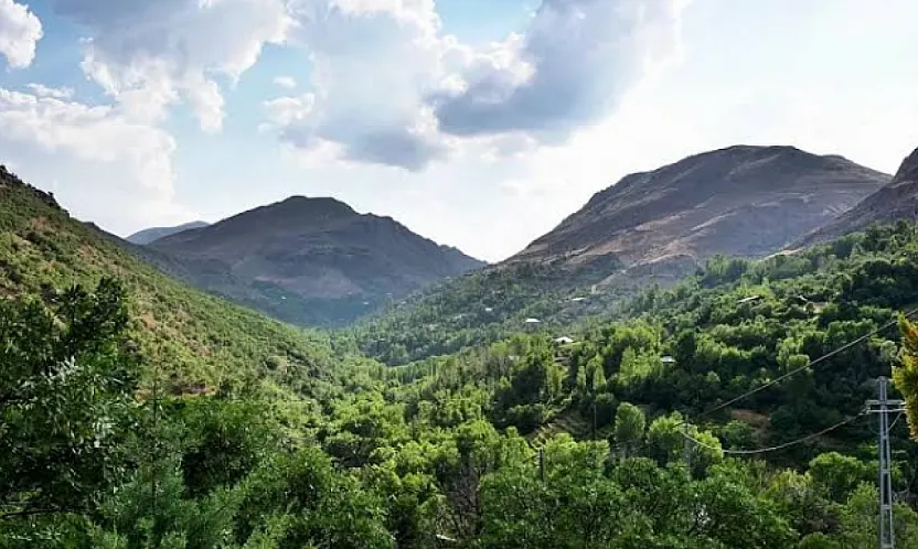 Malatya'da 62 Yangın Sonrası Çağrı! Herkes Dikkatli Olsun