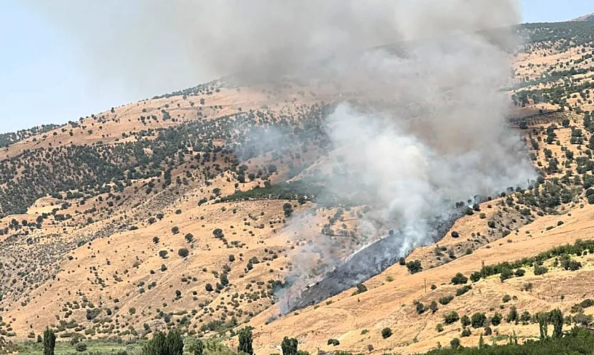Malatya'da Alevler Ormanlık Alana Sıçradı! Müdahale Sürüyor