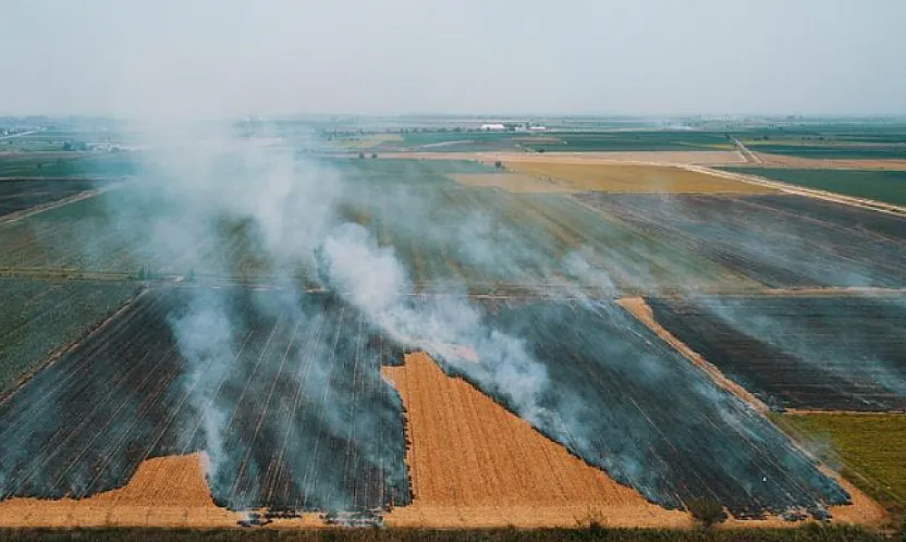 Malatya'da Anız Yakmanın Görünmeyen Bedeli Ortaya Çıktı!
