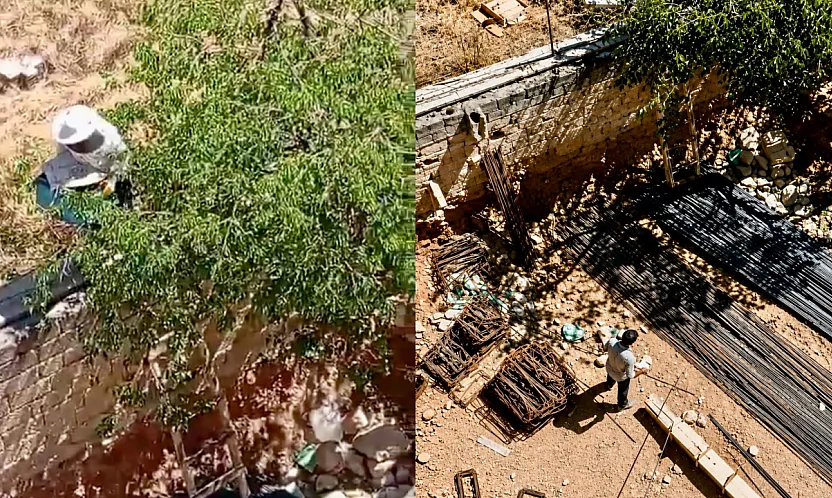Malatya'da Arı Sürüsü Nedeniyle Şantiye Tahliye Edildi