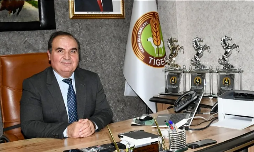 Malatya'da At Skandalında İlk Fatura Kesildi: Müdür ve İşçiler Görevden Alındı!