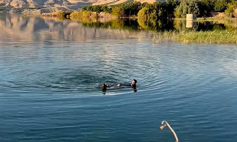 Malatya'da Barajda Erkek Cesedi Bulundu!