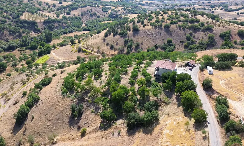 Malatya'da Doktorluğu Bıraktı, Köyüne Döndü! Şimdi Kayısı Yerine Bunu Üretiyor