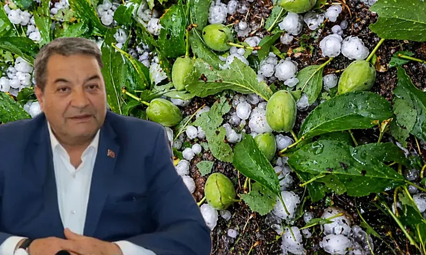 Malatya'da Dolu Kayısıyı Vurdu, Hasar Tespiti Başlayacak mı?