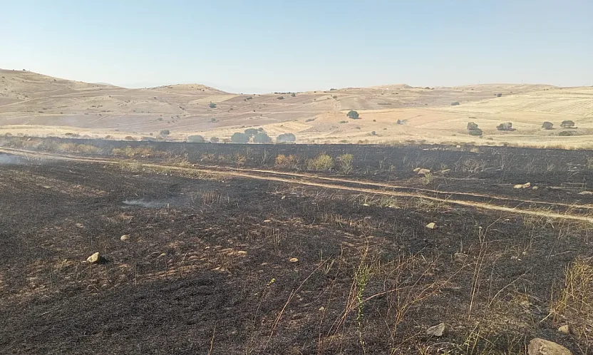 Malatya'da Ekin Tarlası Alevlere Teslim Oldu!