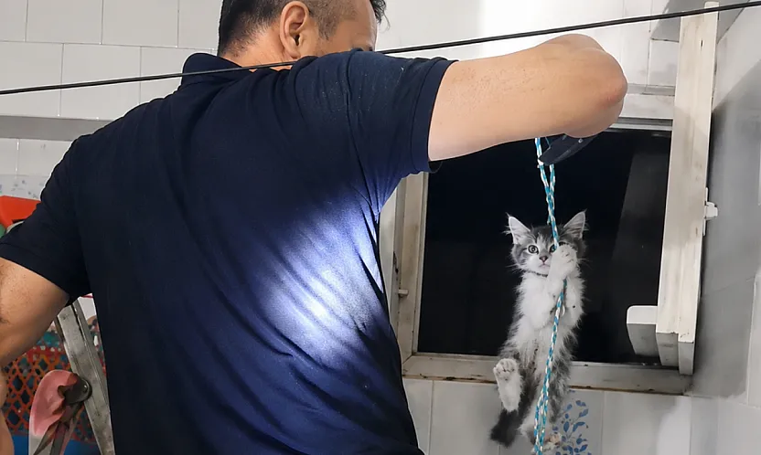 Malatya'da Havalandırma Boşluğundaki Minik Can Kurtuldu!