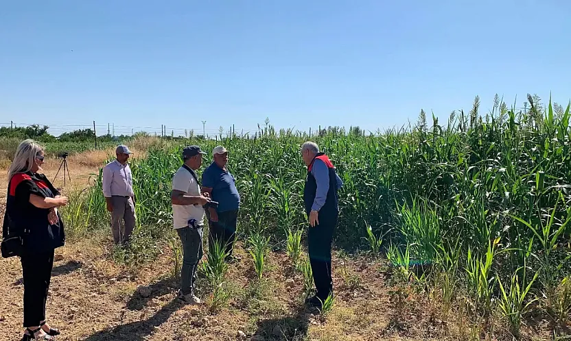 Malatya'da Hayvancılığı Değiştirecek Proje! Tarlalarda İlk Sonuçlar Geldi