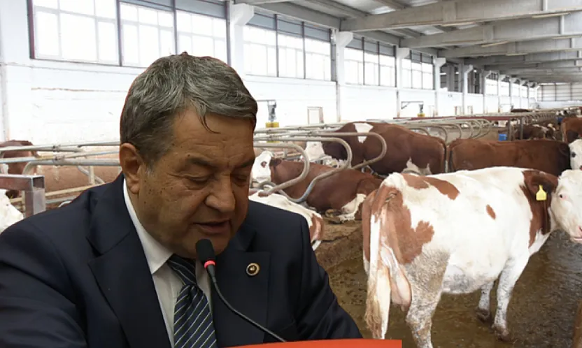 Malatya'da Hayvancılık Alarmı: Vaatler Havada Kaldı, Besici İsyanda!