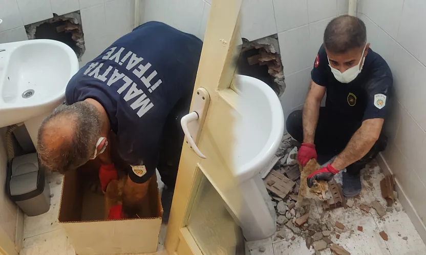 Malatya'da İki Bina Arasında Mahsur Kalan Kedi Kurtarıldı!