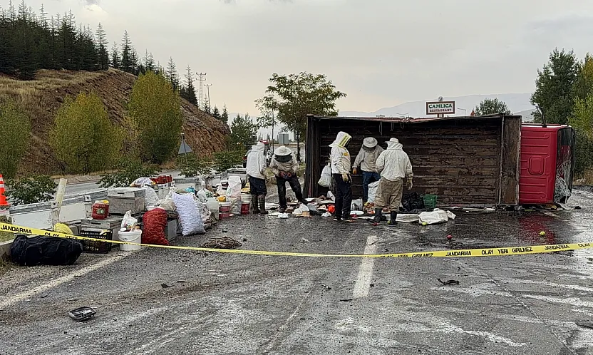 Malatya'da Kamyon Devrildi, Arılar Ortalığı Sardı! 3 Yaralı