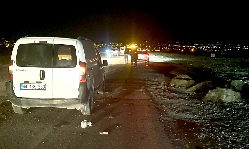 Malatya'da Katliam Gibi Kaza: 12 Koyun Telef Oldu