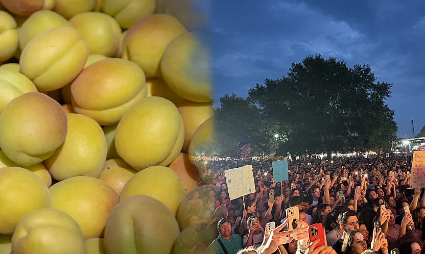 Malatya'da Kayısı Festivali Coşkusu Başlıyor