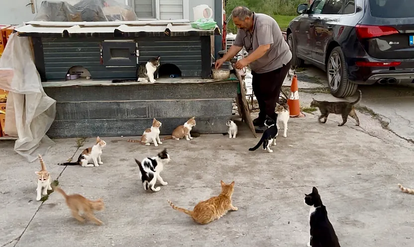 Malatya'da Kediler İçin Kurduğu Rutin Yıllardır Devam Ediyor!