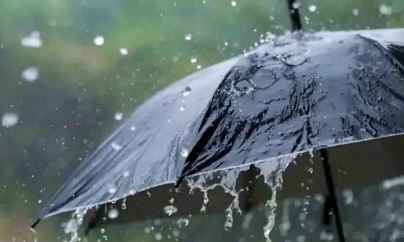 Malatya'da Kış Kapıda: Yağmur ve Buzlanma Geliyor!