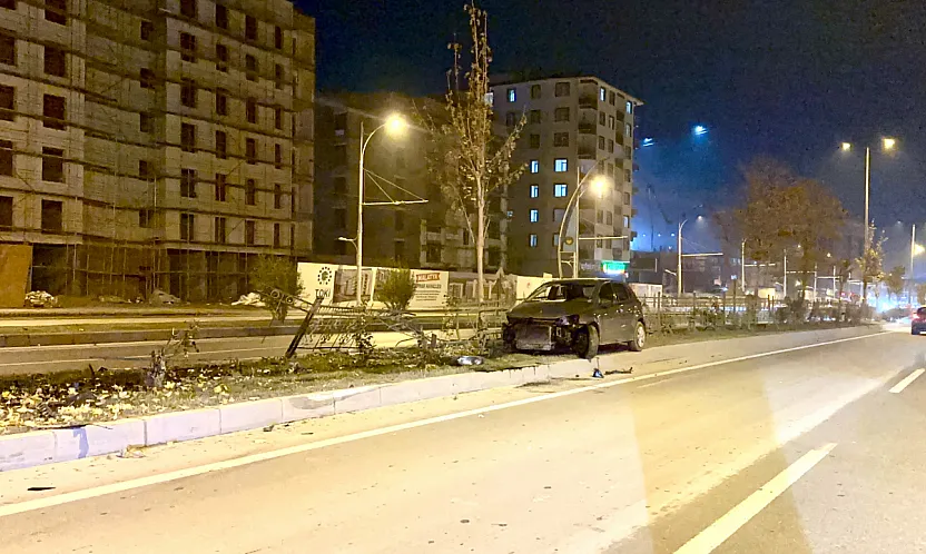 Malatya'da Köpeğe Çarpan Otomobil Refüje Savruldu