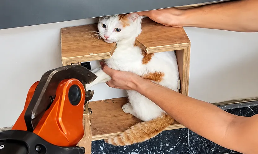 Malatya'da Minik Kedi İçin Kurtarma Operasyonu!