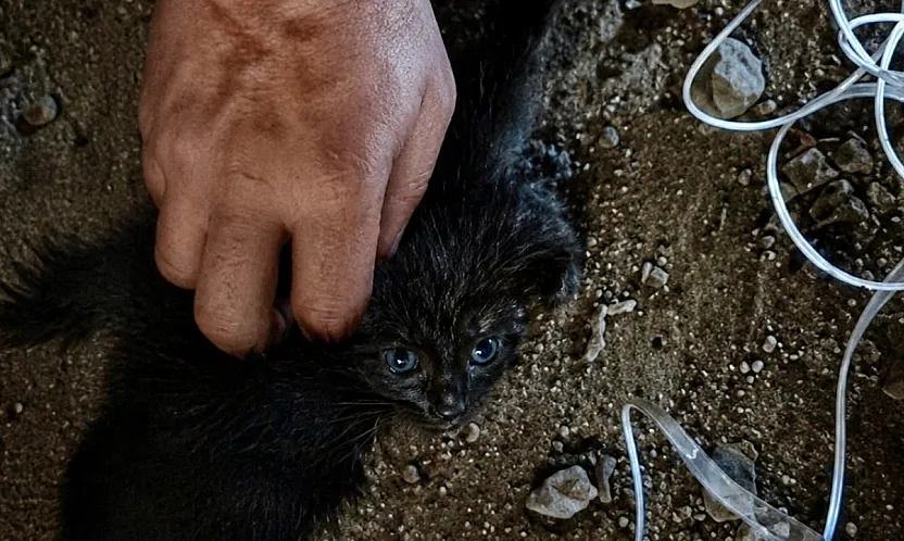 Malatya'da Nefes Kesen Kurtarma! Baca Boşluğunda Mahsur Kalmıştı