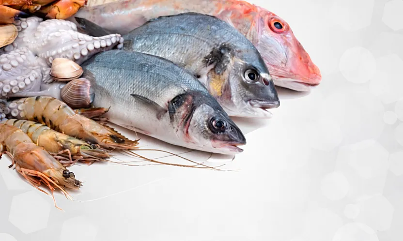 Malatya'da Oltalar Rafa Kalkıyor: 1 Nisan'da Başlayan Yasak Kimleri Kapsıyor?